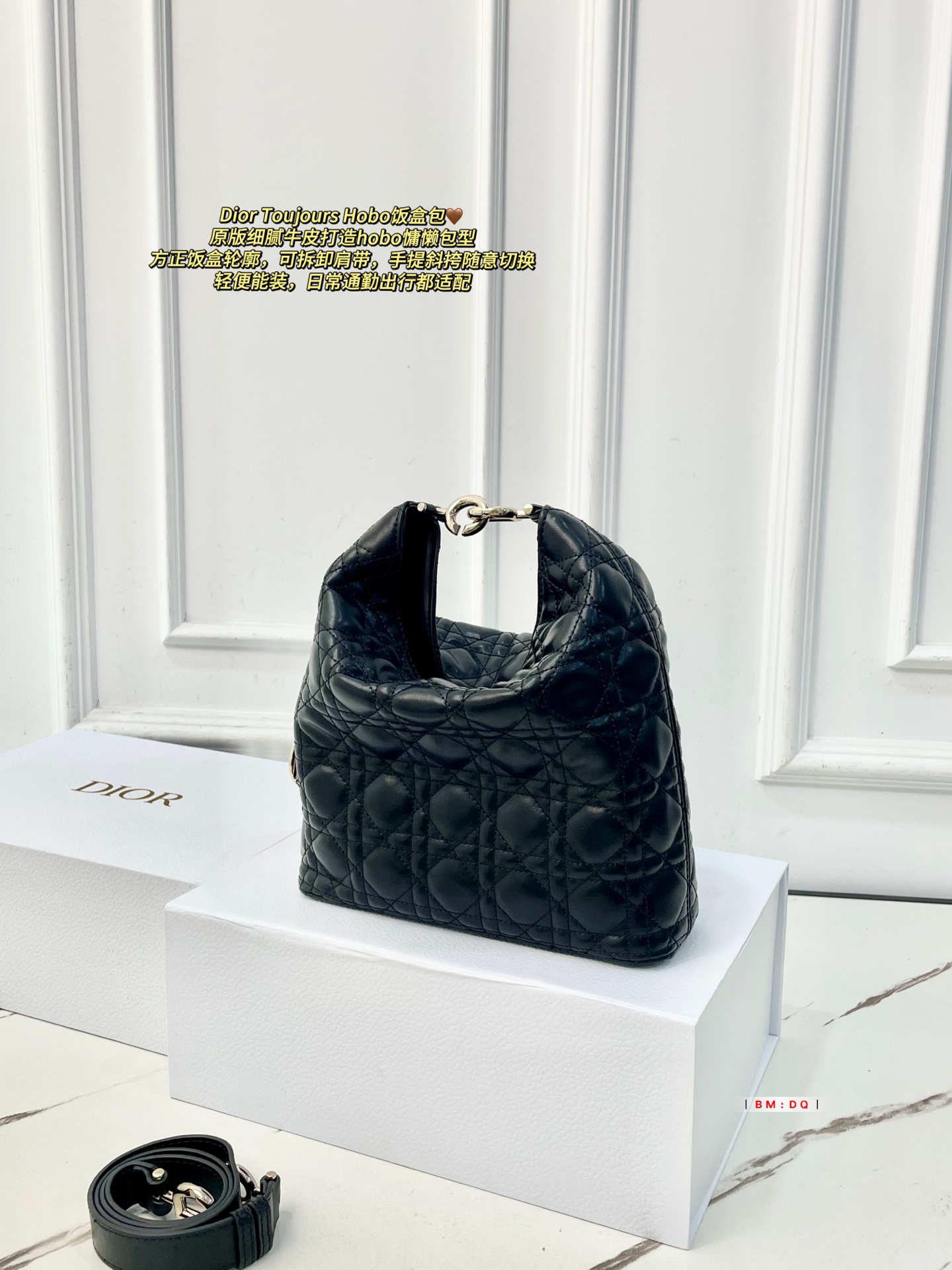 Dior Sac Femme