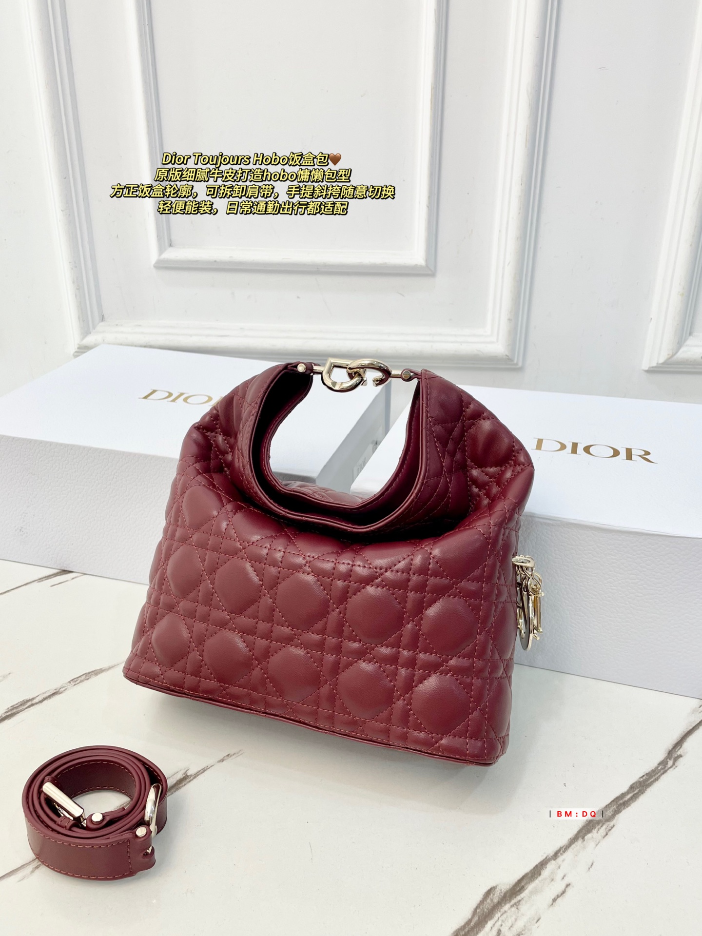 Dior Sac Femme